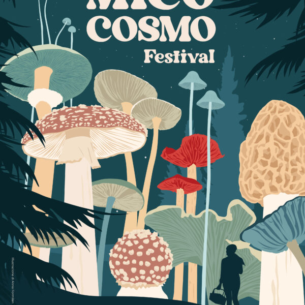 MicoCosmo Festival