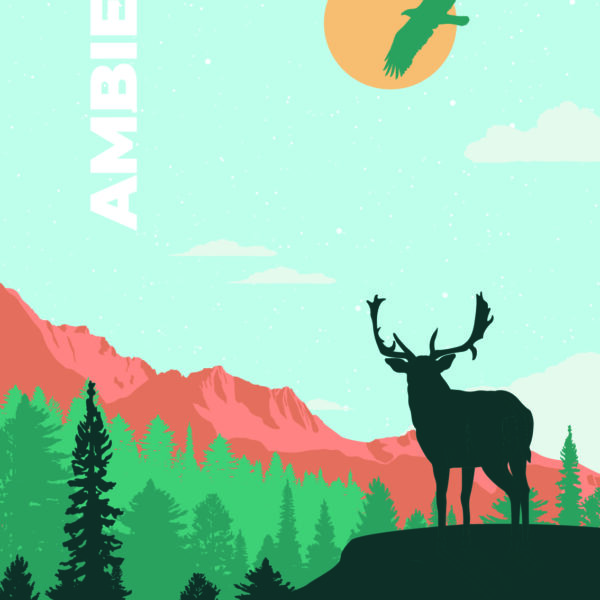 APT Val di Sole