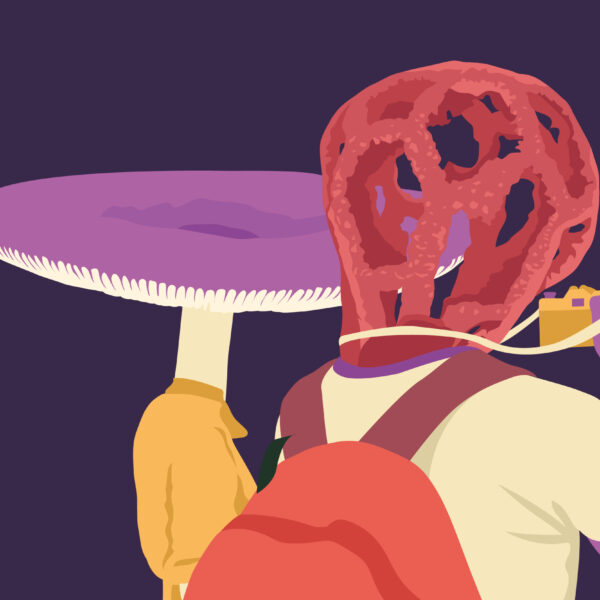 MicoCosmo Festival