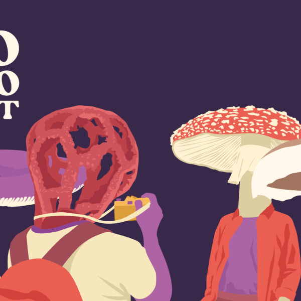 MicoCosmo Festival
