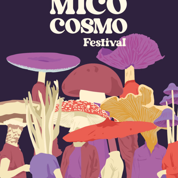 MicoCosmo Festival