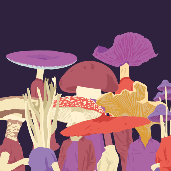 MicoCosmo Festival