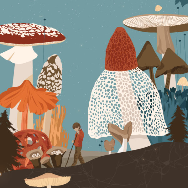 Gruppo Micologico Bresadola