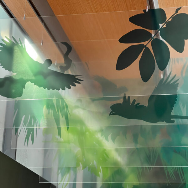 MUSE Museo delle Scienze - Trento