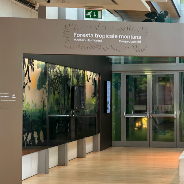 MUSE Museo delle Scienze - Trento