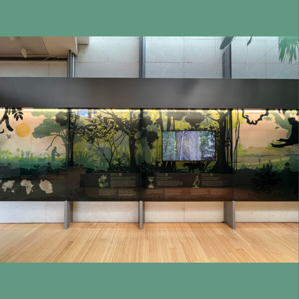 MUSE Museo delle Scienze - Trento