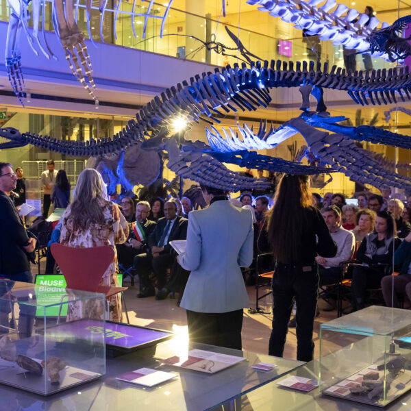 MUSE Museo delle Scienze - Trento