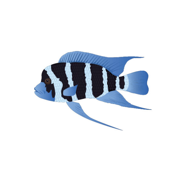 MUSE Museo delle Scienze - Trento