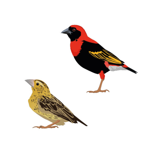 MUSE Museo delle Scienze - Trento