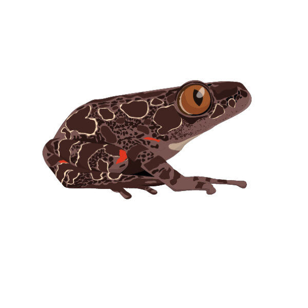 MUSE Museo delle Scienze - Trento