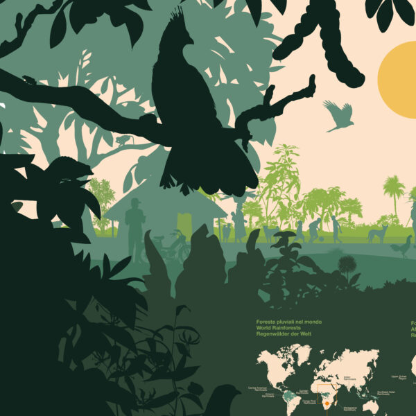 MUSE Museo delle Scienze - Trento