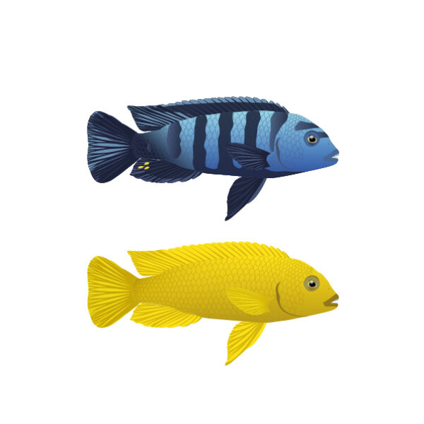 MUSE Museo delle Scienze - Trento