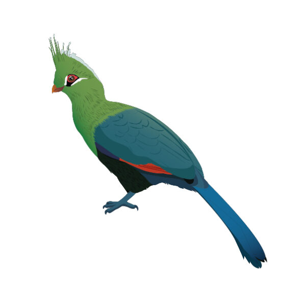 MUSE Museo delle Scienze - Trento