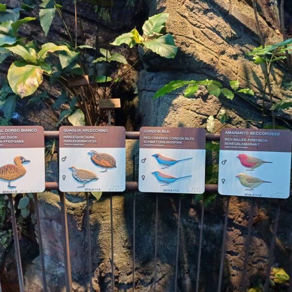 MUSE Museo delle Scienze - Trento