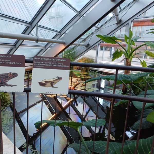 MUSE Museo delle Scienze - Trento