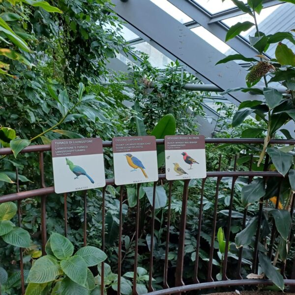 MUSE Museo delle Scienze - Trento