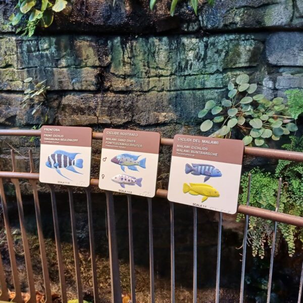 MUSE Museo delle Scienze - Trento