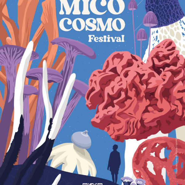 MicoCosmo Festival