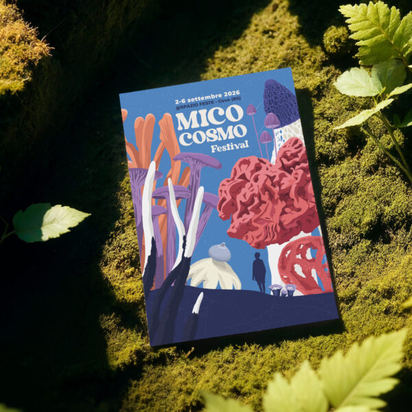 MicoCosmo Festival