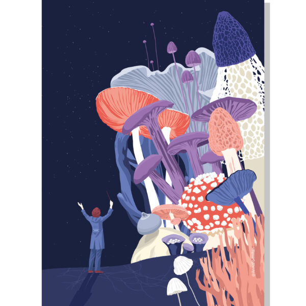 Personal project
