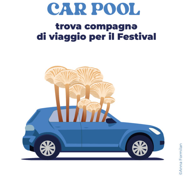 MicoCosmo Festival