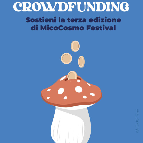 MicoCosmo Festival