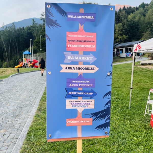 MicoCosmo Festival
