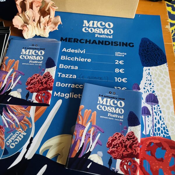 MicoCosmo Festival