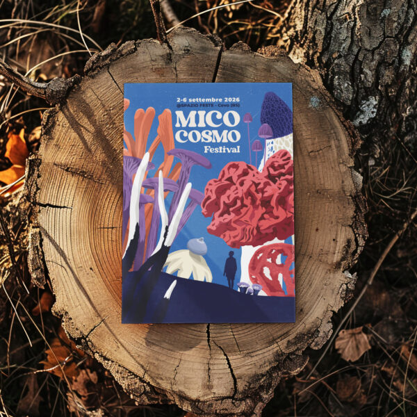MicoCosmo Festival
