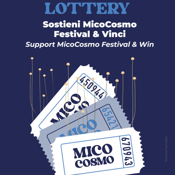 MicoCosmo Festival