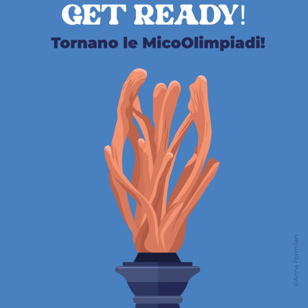 MicoCosmo Festival