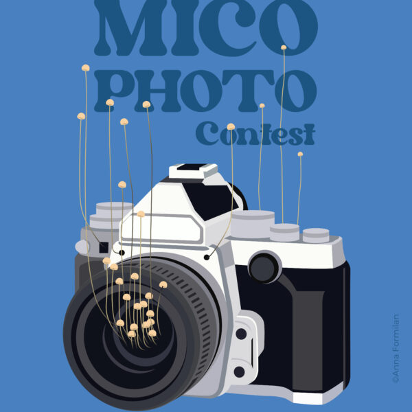 MicoCosmo Festival
