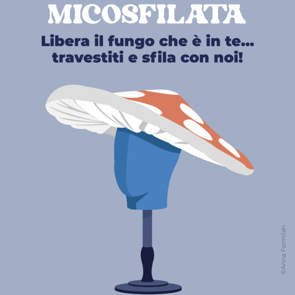 MicoCosmo Festival