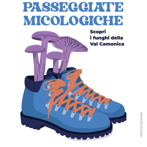 MicoCosmo Festival