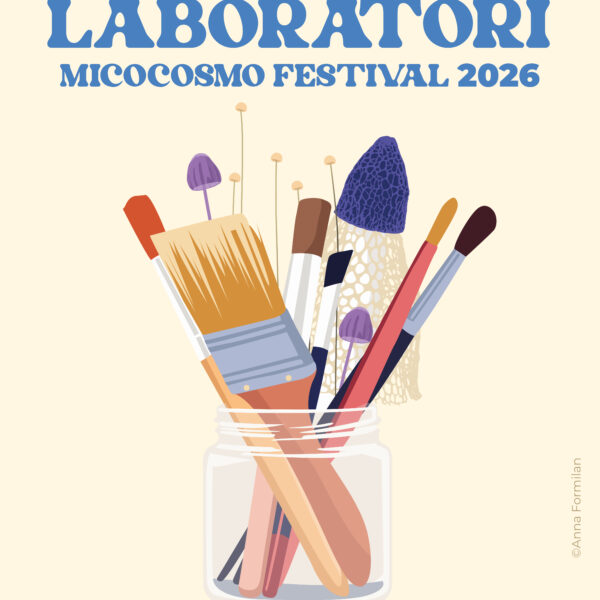 MicoCosmo Festival