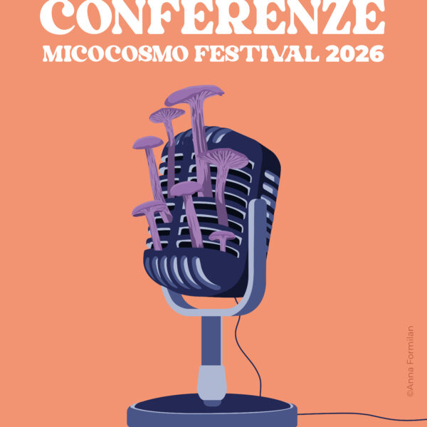 MicoCosmo Festival