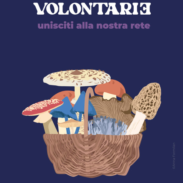 MicoCosmo Festival